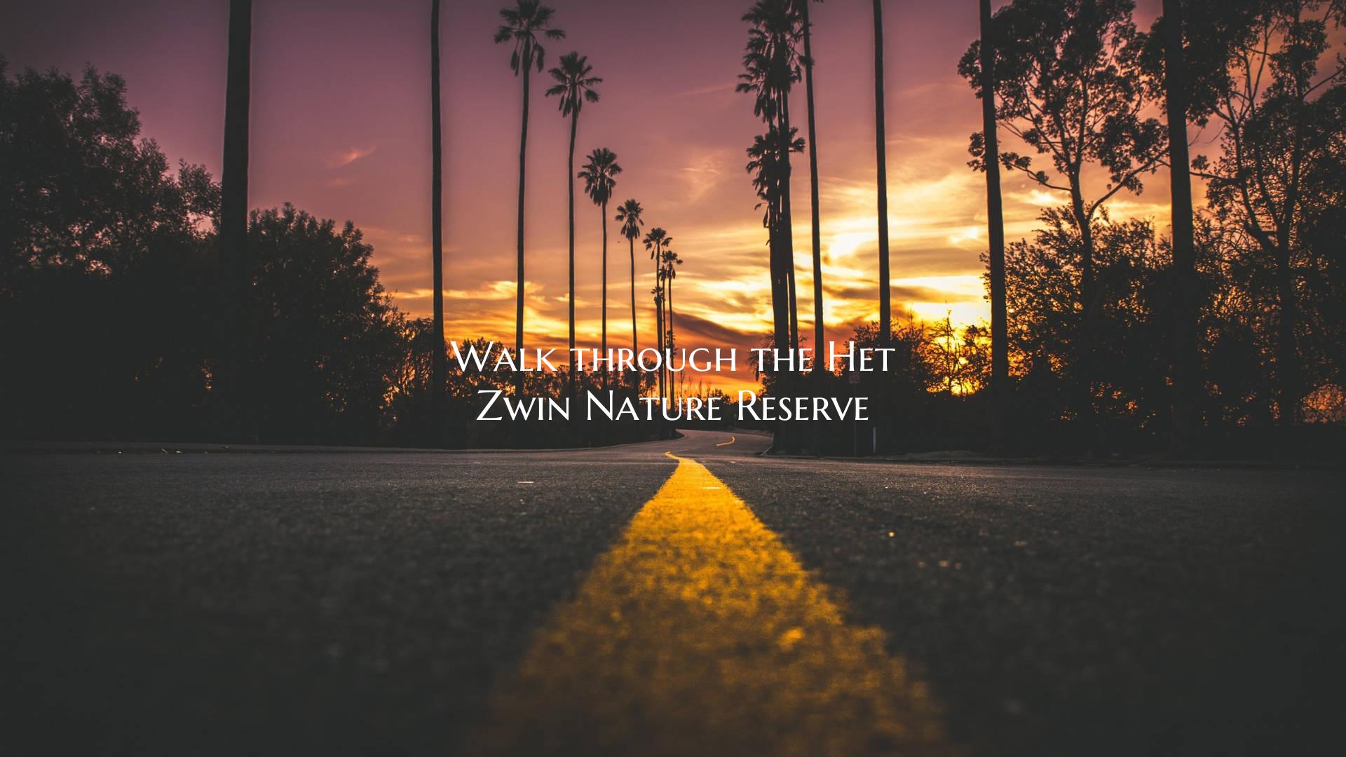 Walk through the Het Zwin Nature Reserve