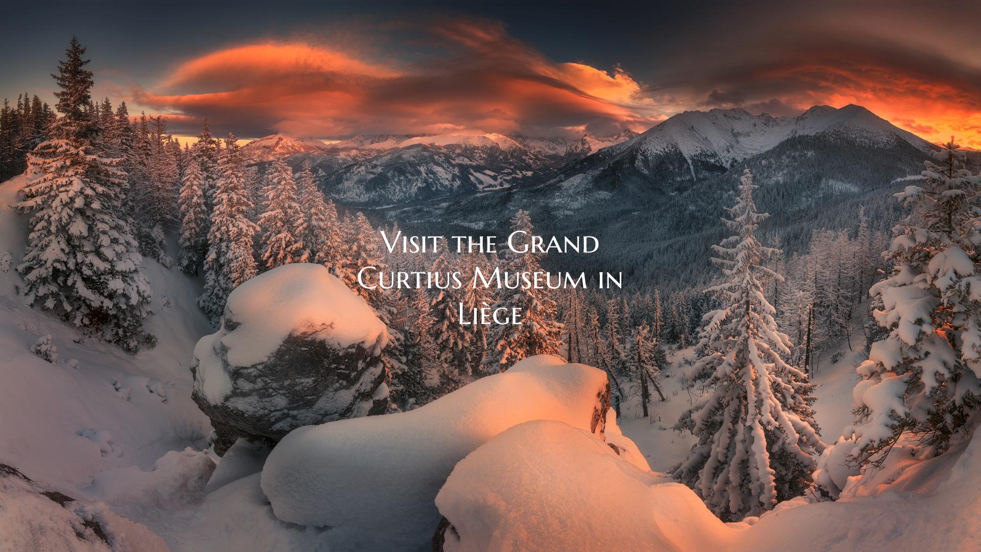 Visit the Grand Curtius Museum in Liège