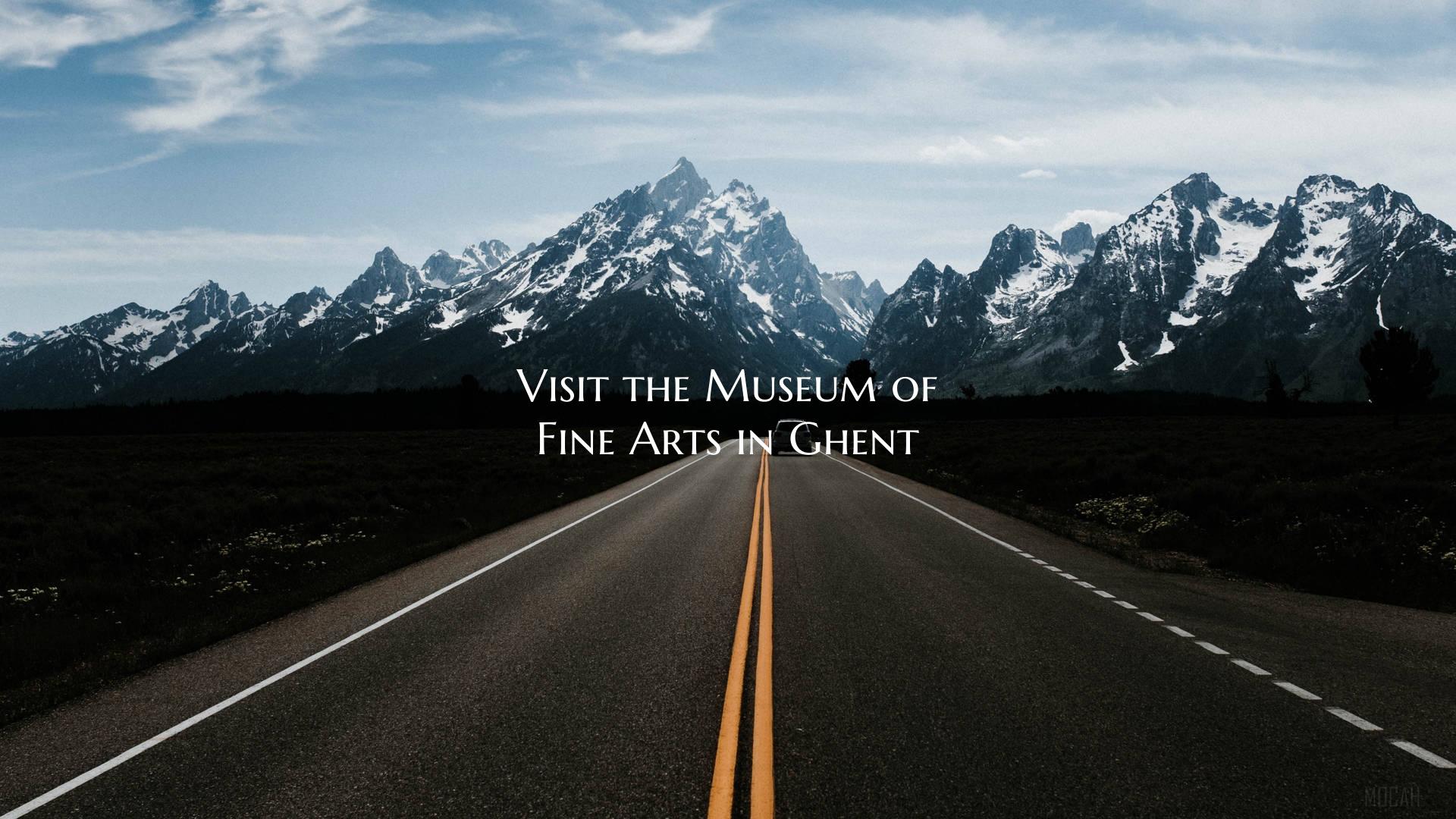 Visit the Museum of Fine Arts in Ghent